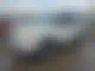 Vehicle Image- 2004 Honda Pilot