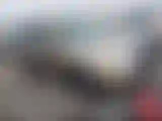 Vehicle Image- 2003 Honda Pilot