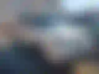 Vehicle Image- 2004 Honda Pilot