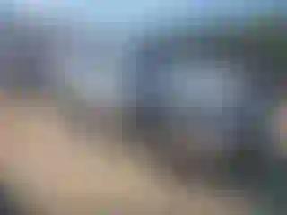 Vehicle Image- 2004 Honda Pilot
