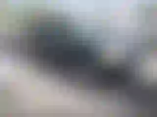 Vehicle Image- 2004 Honda Pilot