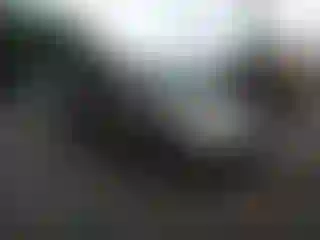 Vehicle Image- 2005 Honda Pilot
