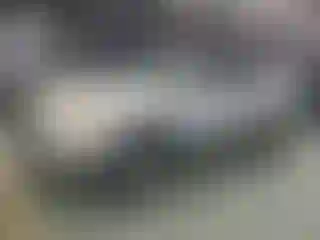 Vehicle Image- 2004 Honda Pilot