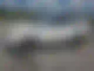 Vehicle Image- 2007 Honda Pilot