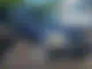 Vehicle Image- 2004 Honda Pilot