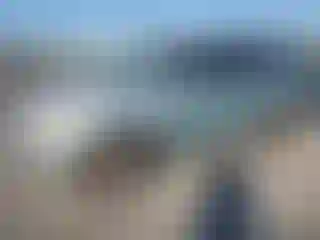 Vehicle Image- 2003 Honda Pilot