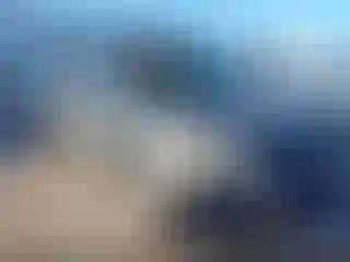 Vehicle Image- 2004 Honda Pilot