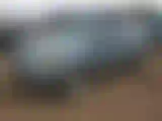 Vehicle Image- 2006 Honda Pilot