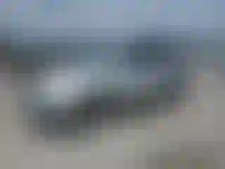 Vehicle Image- 2003 Honda Pilot
