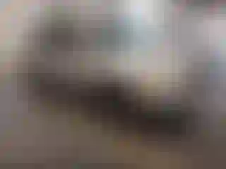 Vehicle Image- 2004 Honda Pilot