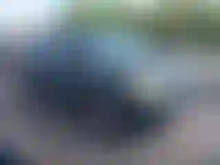 Vehicle Image- 2005 Honda Pilot