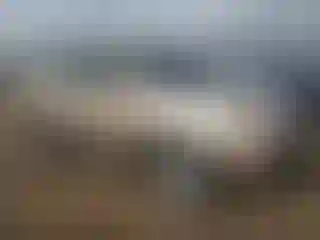 Vehicle Image- 2002 Acura MDX