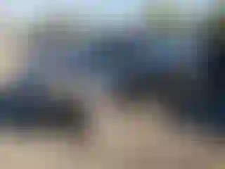 Vehicle Image- 2004 Acura MDX