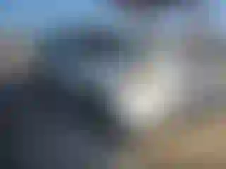 Vehicle Image- 2004 Acura MDX