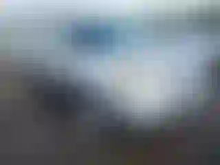 Vehicle Image- 2004 Acura MDX