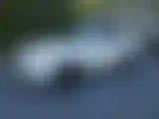 Vehicle Image- 2004 Acura MDX