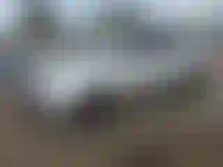 Vehicle Image- 2009 Acura MDX