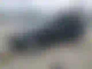 Vehicle Image- 2008 Acura MDX