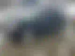 Vehicle Image- 2007 Acura MDX