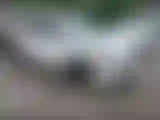 Vehicle Image- 2007 Acura MDX