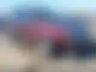 Vehicle Image- 2008 Acura MDX