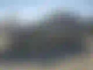 Vehicle Image- 2007 Acura MDX