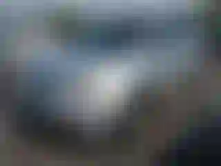 Vehicle Image- 2008 Acura MDX
