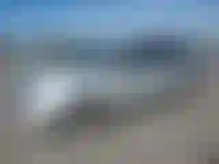 Vehicle Image- 2009 Acura MDX