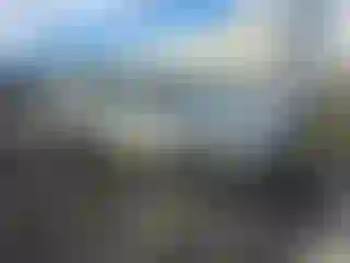 Vehicle Image- 2009 Acura MDX