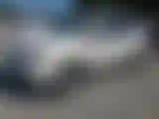 Vehicle Image- 2007 Acura MDX