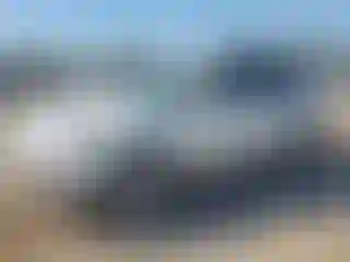 Vehicle Image- 2010 Acura MDX