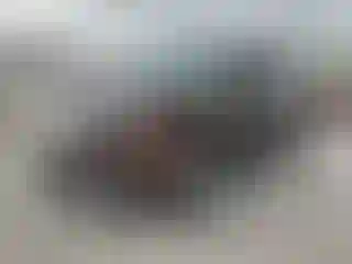 Vehicle Image- 2011 Acura MDX