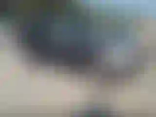 Vehicle Image- 2010 Acura MDX