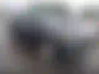 Vehicle Image- 2010 Acura MDX