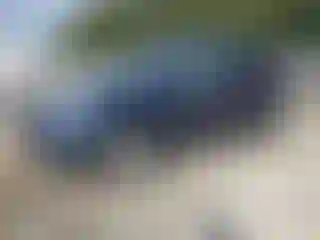 Vehicle Image- 2010 Acura MDX