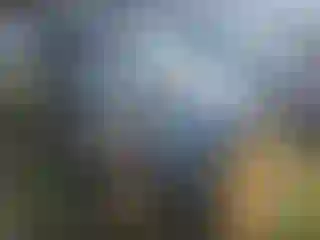 Vehicle Image- 2010 Acura MDX