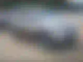 Vehicle Image- 2011 Acura MDX