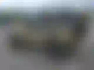 IMPORTOWO.pl
