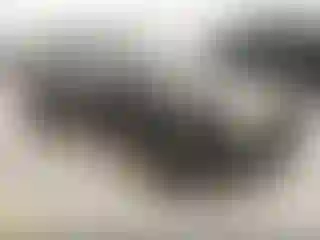 Vehicle Image- 2010 Lincoln MKX