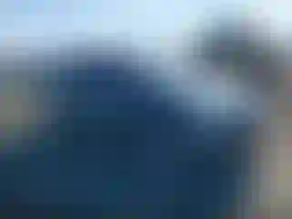 Vehicle Image- 2010 Lincoln MKX