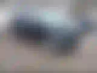 Vehicle Image- 2013 Lincoln MKX