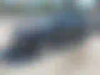 Vehicle Image- 2011 Lincoln MKX