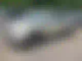 Vehicle Image- 2011 Lincoln MKX