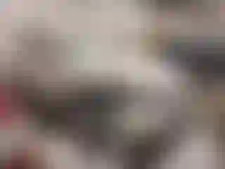 Vehicle Image- 2013 Lincoln MKX