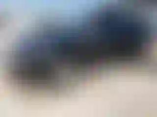 Vehicle Image- 2008 Lincoln MKX