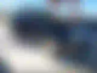 Vehicle Image- 2008 Lincoln MKX