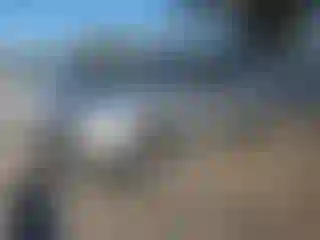 Vehicle Image- 2007 Lincoln MKX