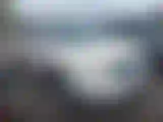 Vehicle Image- 2008 Lincoln MKX