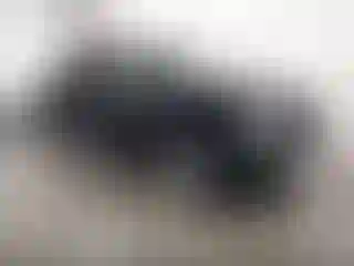 Vehicle Image- 2008 Lincoln MKX