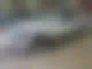 Vehicle Image- 2016 Lincoln MKX